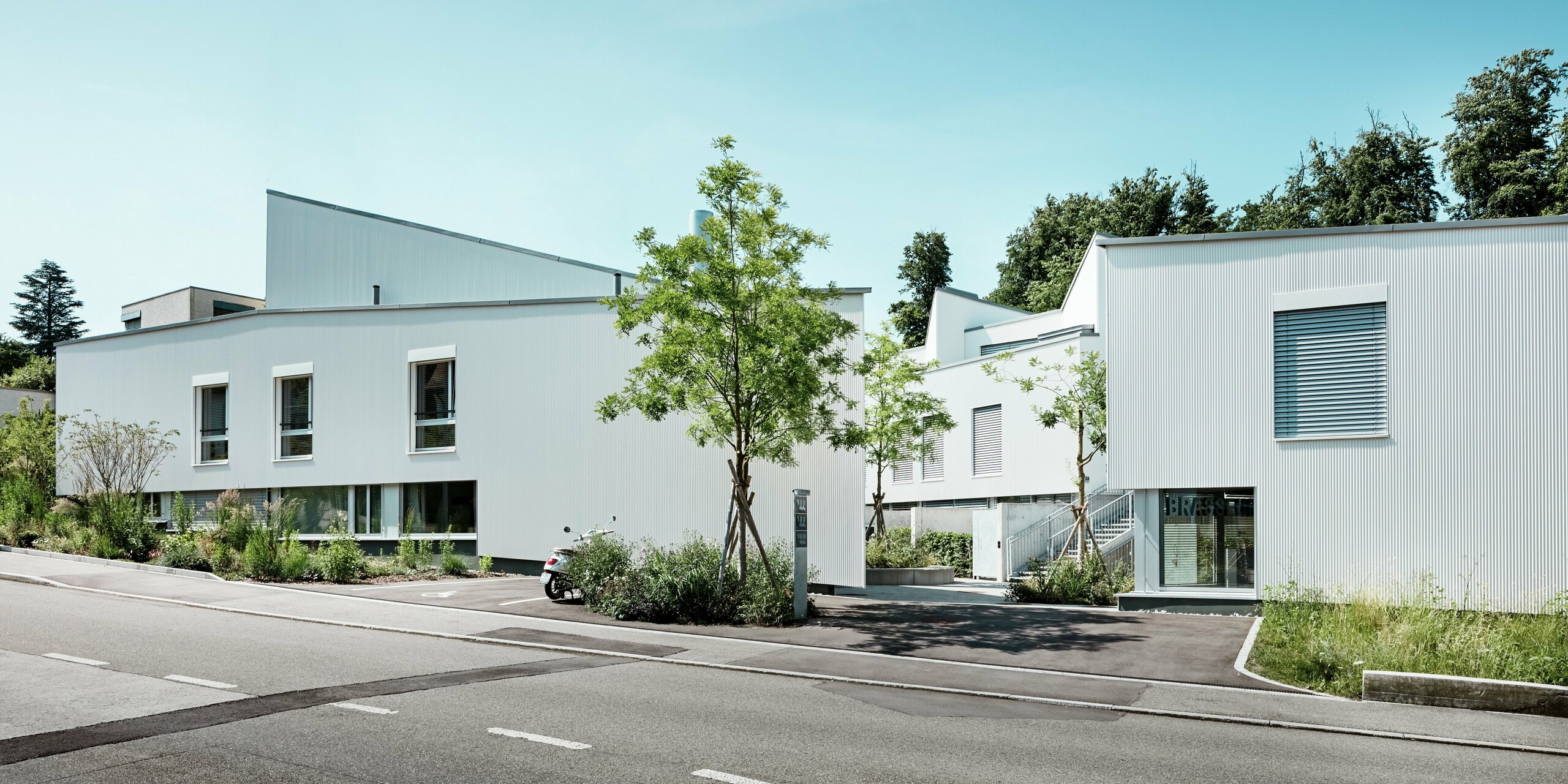 Straßenansicht der modernen Tiny Homes in Zollikerberg mit homogener Fassadengestaltung aus PREFA Zackenprofilen in P.10 Reinweiß. Die Gebäude wirken durch ihre reduzierte Architektur, die klare Linienführung und das langlebige PREFALZ Dach in Patinagrau besonders hochwertig. PREFA Aluminium überzeugt mit Wetterbeständigkeit, Langlebigkeit und eleganter Ästhetik. Die gepflegten Bäume und pflanzen schaffen eine angenehme Atmosphäre und lockern die reduzierte Farbgestaltung auf.