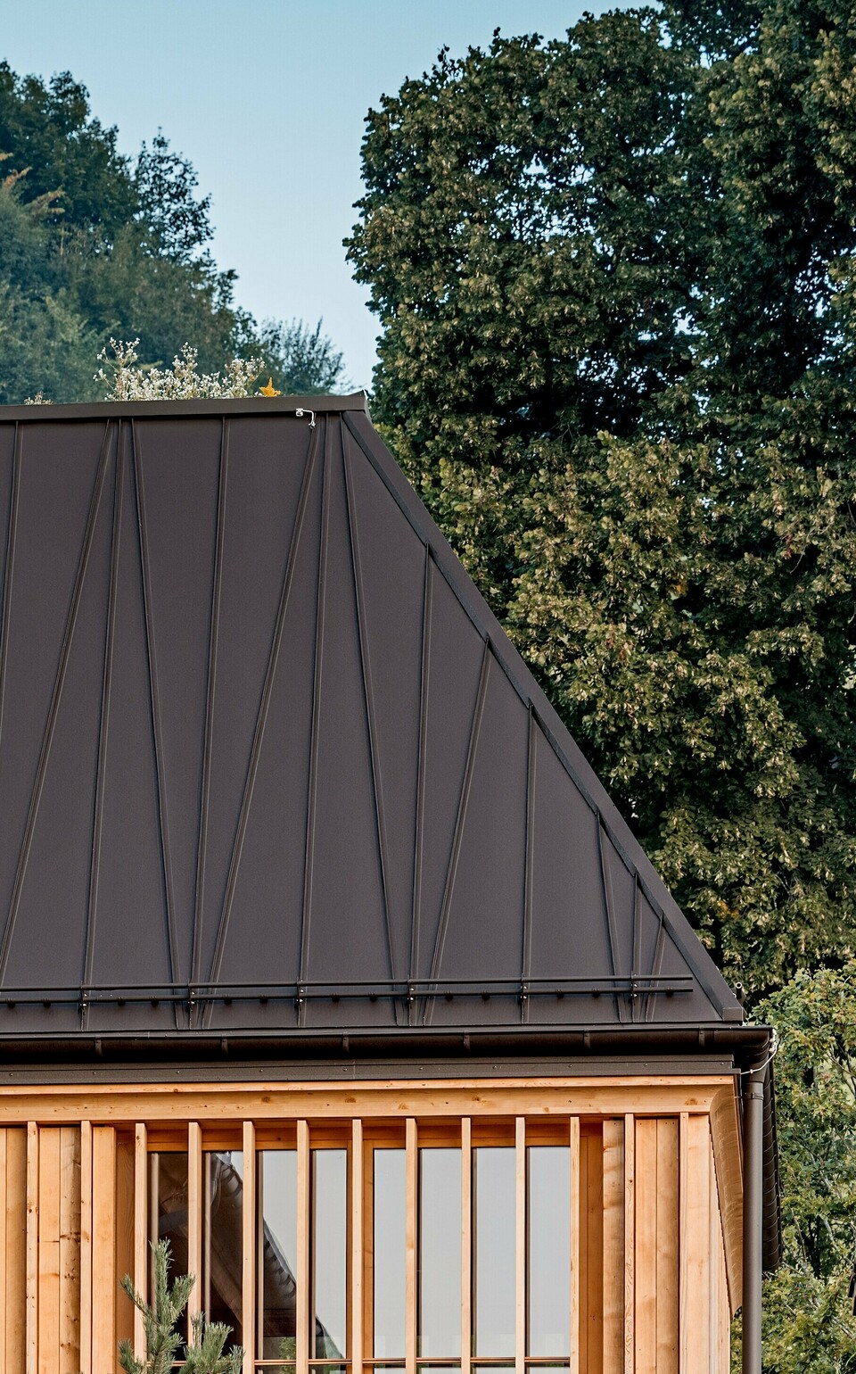 Modernes Holzgebäude mit markantem, dunkel beschichtetem Stehfalzdach aus Aluminium von PREFA, eingebettet in eine natürliche Umgebung. Die klare Dachgeometrie unterstreicht die hochwertige Ausführung und zeigt die architektonischen Möglichkeiten im PREFA Dach Produktbereich.