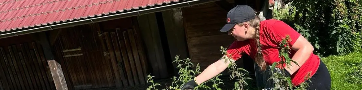 Lebendige Szene beim Social Team Tag am Kinderbauernhof Eschenau: Im Vordergrund füttert Rita Ried, PREFA Mitarbeiterin, eine Ziege über einen rustikalen Holzzaun. Die Kombination aus Tierkontakt und aktiver Mithilfe zeigt den besonderen Charakter des Einsatzes. Das Bild verdeutlicht eindrucksvoll, wie PREFA Mitarbeitende durch persönlichen Einsatz und gemeinsames Engagement einen wertvollen Beitrag für soziale Einrichtungen und das Miteinander leisten.